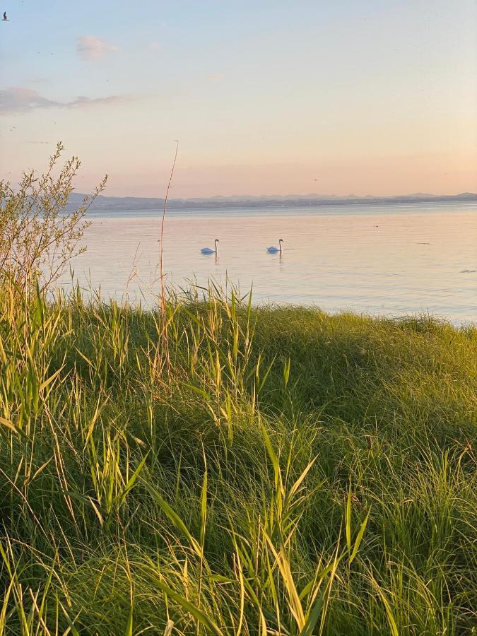 Ferien-Apartment Eisvogel Im Naturschutzgebiet Mit Privatstrand FDH Eksteriør billede